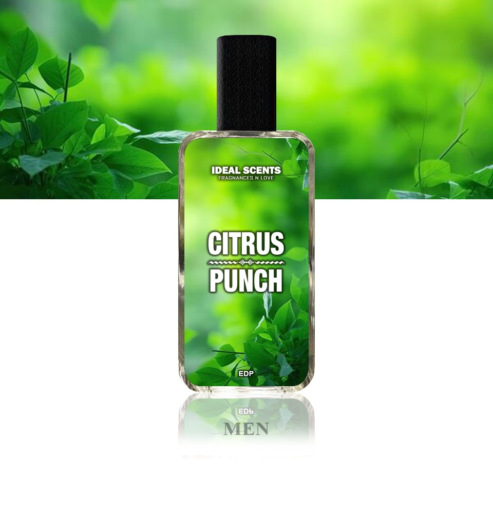 Citrus Punch Fragrance | 50ml | Inspired by Aventus Creed | Long Lasting 8?10 Hours | Made in Pakistan - Image 3