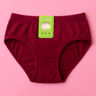 Jersey Plain Panty for Women ? Soft, Lightweight & Comfortable Everyday Underwear, Breathable Jersey Fabric in Maroon