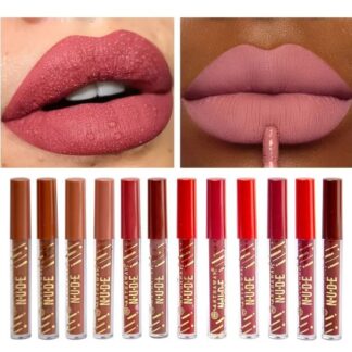 Pack of 12 WaterProof Matte Nude Redish Shades Lipgloss