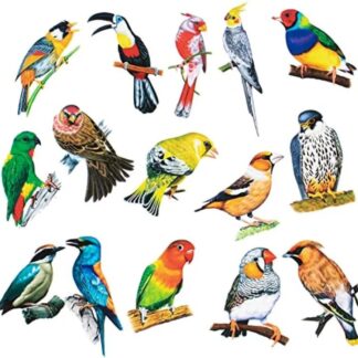 3D Art Crafts BiRdsWall Stickers  (pack of 8 pcs )