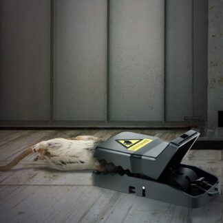 Elegant Zircon Black Bow Tie Earrings (AXJ-112) - White