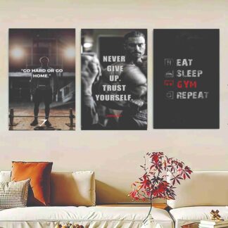 Set Of 3 GYM Sticky Canvas Phototiles Frame For Wall, Home Decor