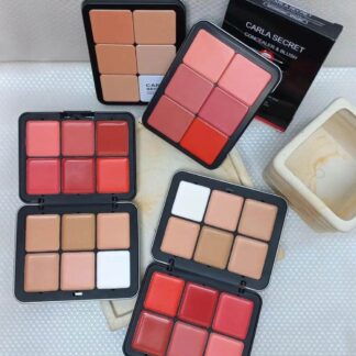 Trendy Carla Secret Cream Concealer & Blush Pallet