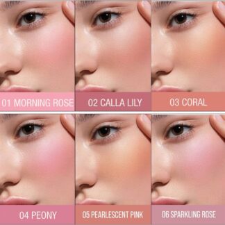 (Pack of 2 ) Color Castle High Pigment Liquid Blush