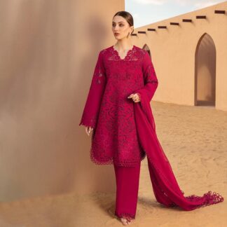 RANG RASIYA Rameen Collection: Exquisite Chikankari Cotton & Khaadi Net Embroidered Dress
