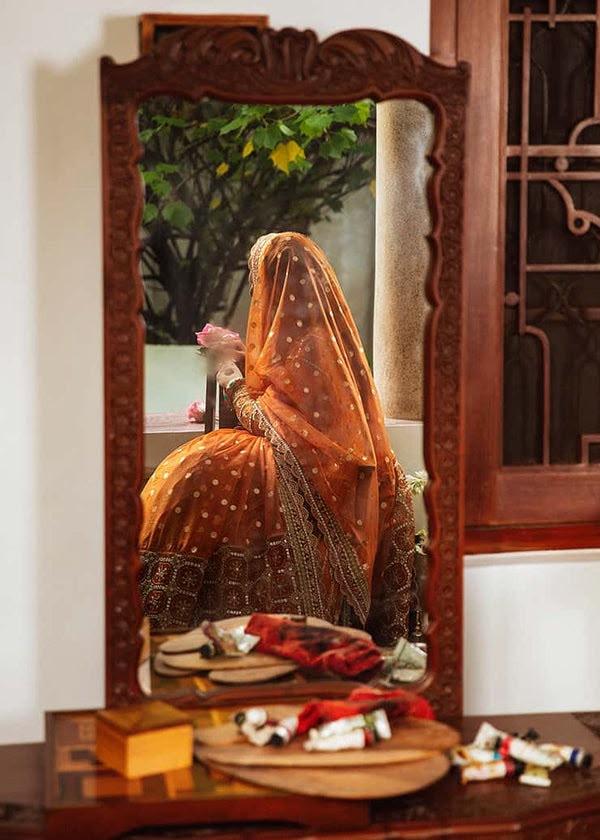 Opulent Embroidered Organza Formal Suit - Image 4
