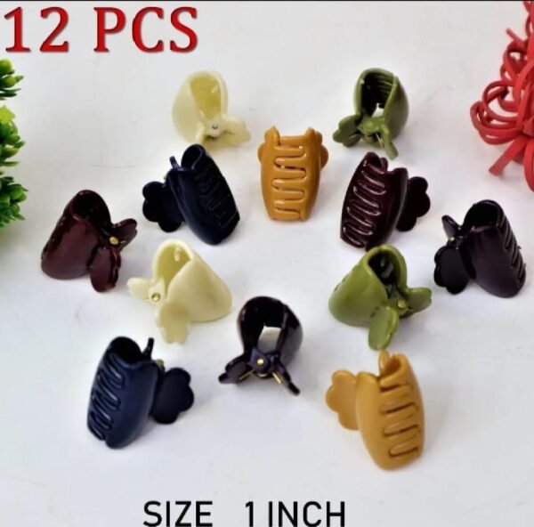 WhatsApp-Image-2025-08-18-at-12.49.28-PM-2 Pack of 12 Hair Catchers – Small Size (1 Inch) Multicolor Plastic Clips for Women & Girls | Strong Grip & Stylish Design (Random Color)