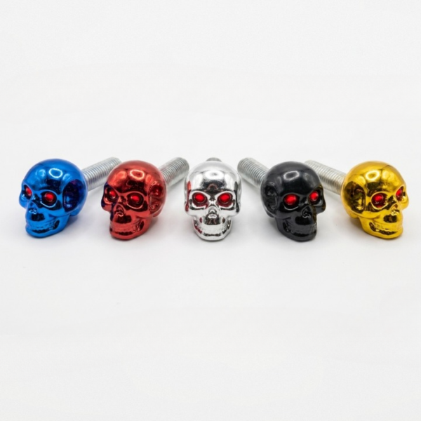 aee0865f4cd5575825e5c7ca31bfe413 Skull Bolt Decorative Fastener – Metal Khopri Design Dumchi Bolt China