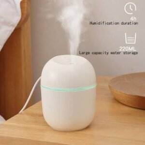 d1081cde0644537d7fb8eaf6cf7a1010 Mini Cute Air Humidifier With RGB Light | Mute Humidifier For Room & Office | 220ML Water Capacity