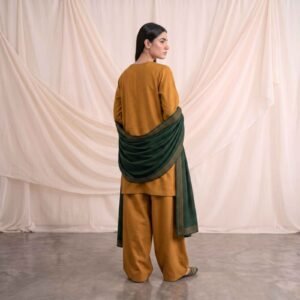 Premium Dhanak Embroidery 3ps Stitched Suits - Design 2