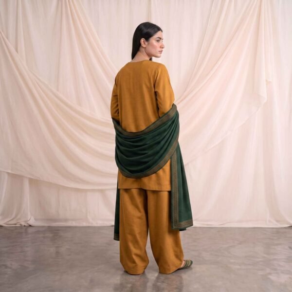 Premium Dhanak Embroidery 3ps Stitched Suits - Design 2