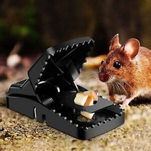 Heavy Duty Reusable Plastic Mouse Trap – Durable & Safe Mouse Catcher for Effective Rodent Control