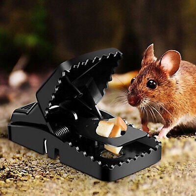 96dc823ba9b206dc9bb0a95d61f56ee1 Heavy Duty Reusable Plastic Mouse Trap – Durable & Safe Mouse Catcher for Effective Rodent Control